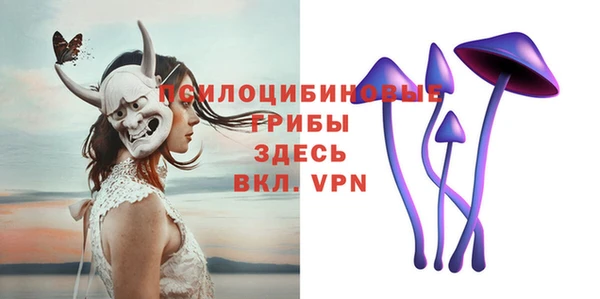 прущие грибы Армянск