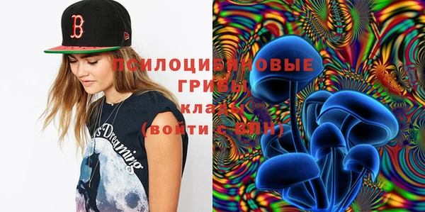 дурь Аркадак