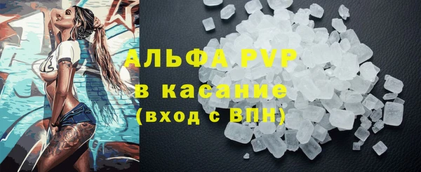 прущие грибы Арсеньев