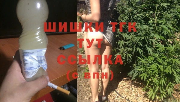 прущие грибы Арсеньев