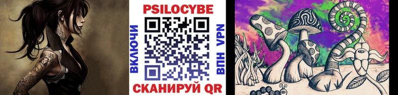 Псилоцибиновые грибы GOLDEN TEACHER  Фрязино 